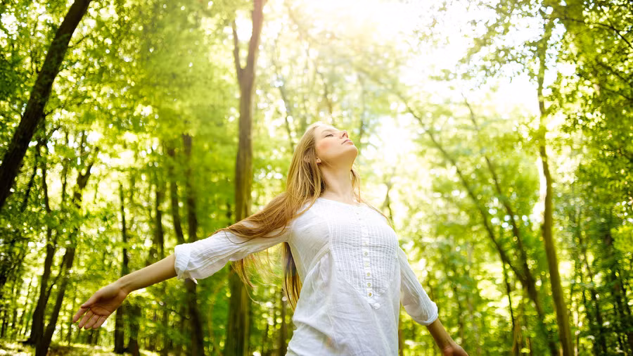 7 gợi ý tận hưởng mùa hè đáng nhớ