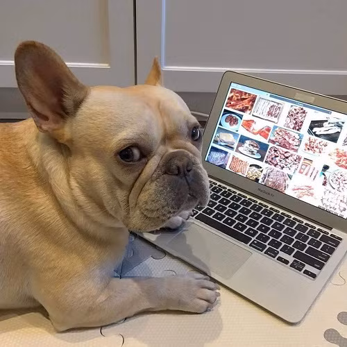 Tâm hồn ăn uống dâng cao.