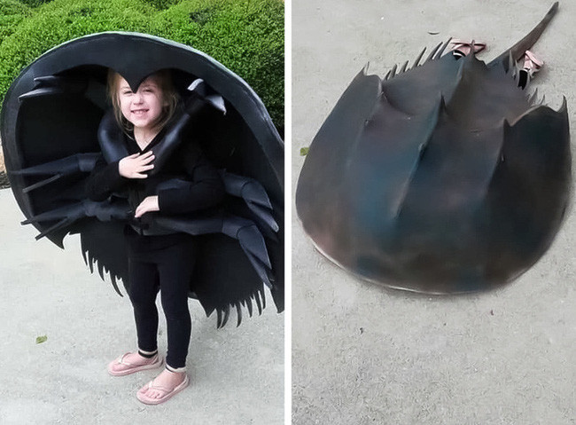 Chùm ảnh chứng minh logic của trẻ chính là "phi logic" - Ảnh 13. Chùm ảnh chứng minh logic của trẻ chính là "phi logic" - Ảnh 13.