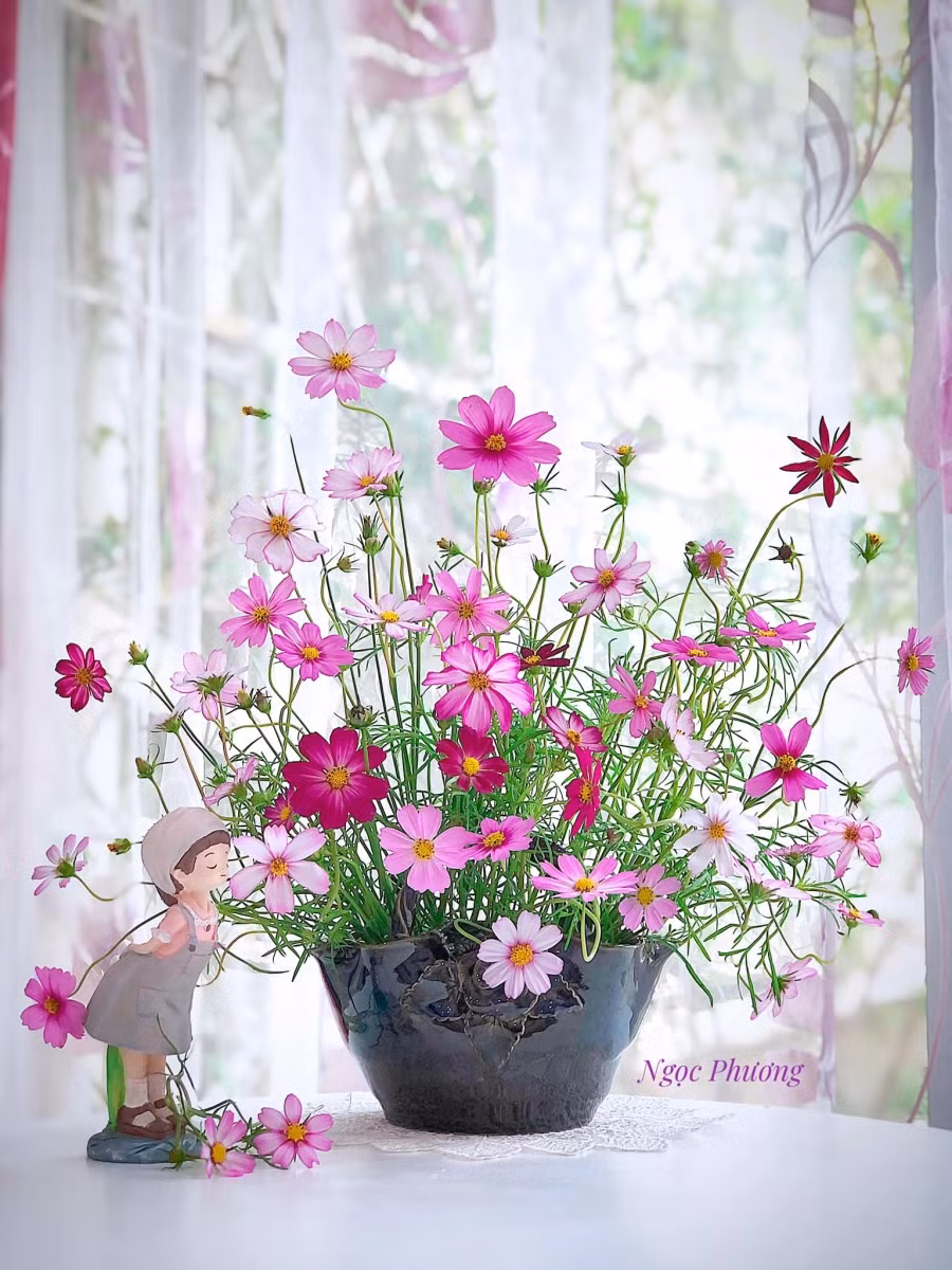 Một giỏ hoa đồng nội