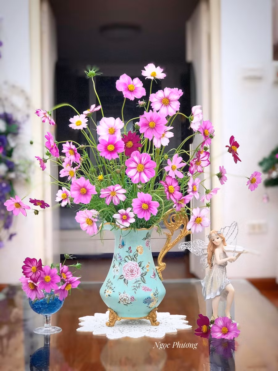 Hoa cánh bướm mềm mại