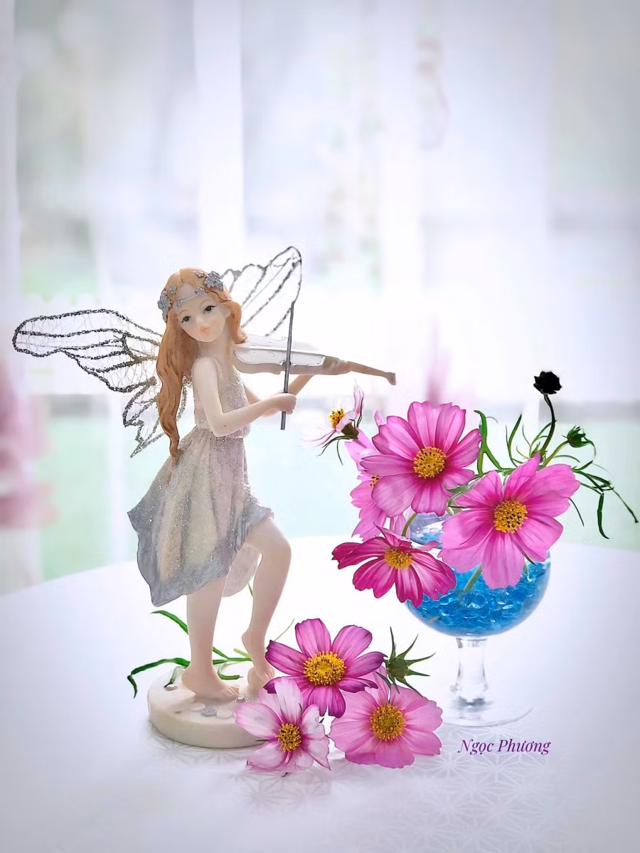 Giấc mơ thiên thần cánh bướm