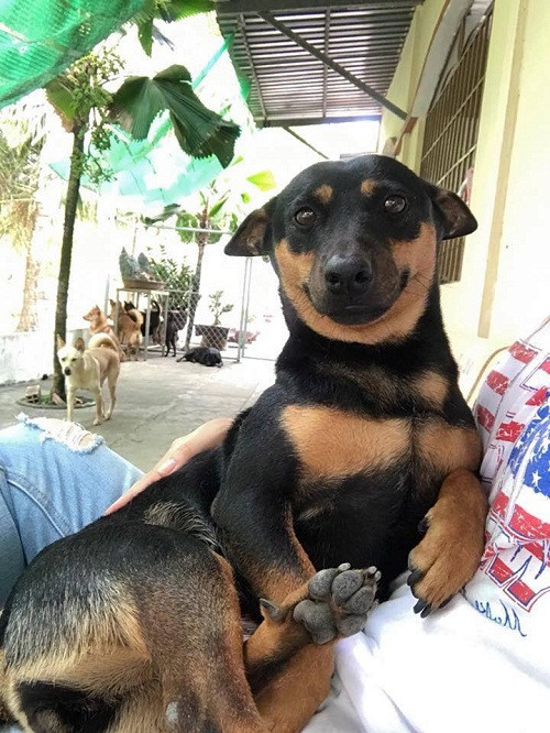 Gương mặt khả ái. Gương mặt khả ái.