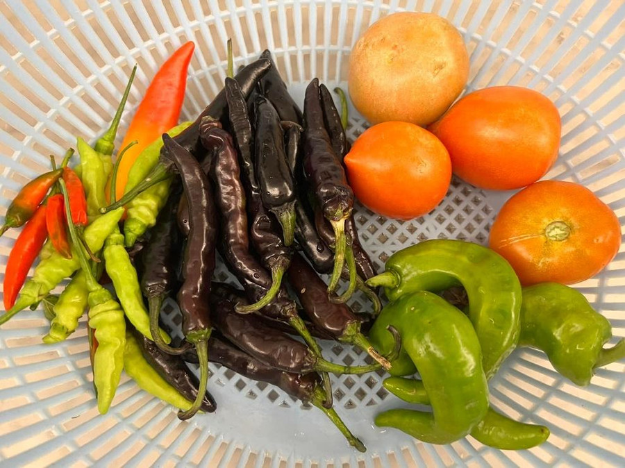 Thành quả đầy sắc màu của người đẹp sẽ được đặt lên bàn ăn gia đình. Thành quả đầy sắc màu của người đẹp sẽ được đặt lên bàn ăn gia đình.