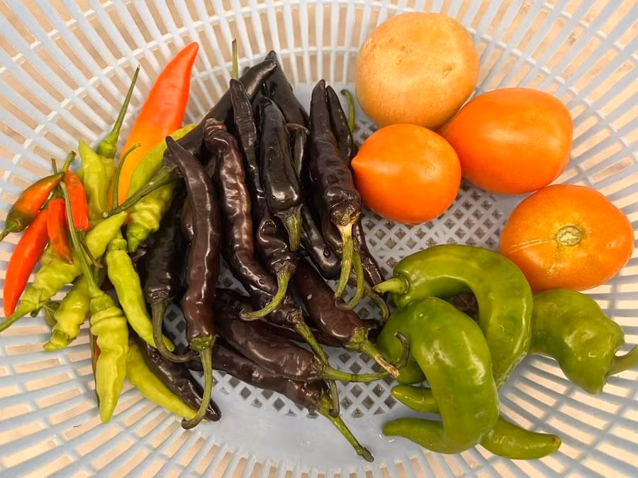 Thành quả đầy sắc màu của người đẹp sẽ được đặt lên bàn ăn gia đình.