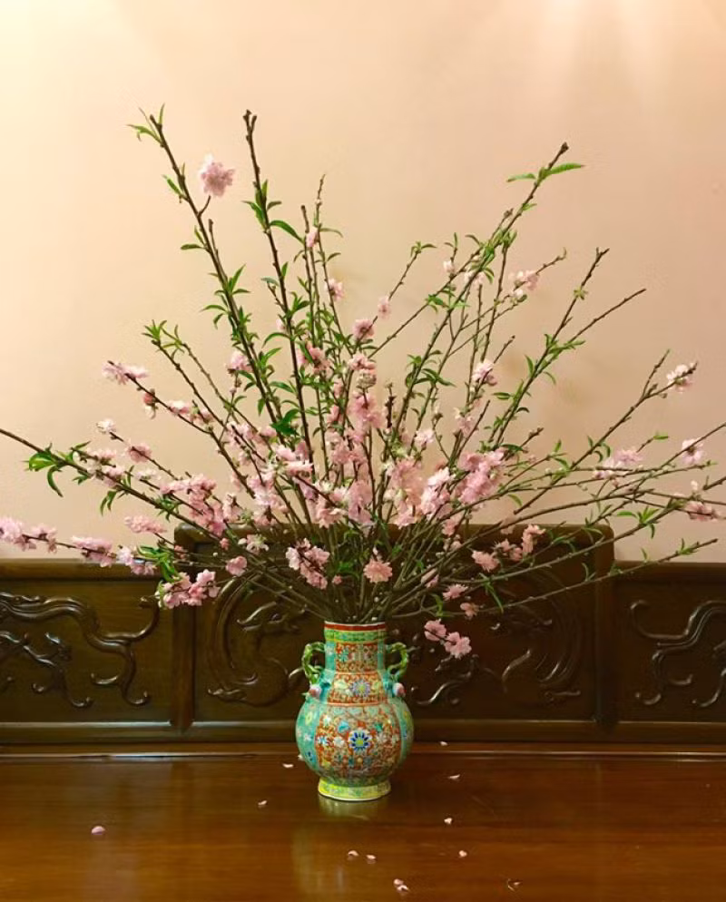 Cách chọn cây đào đẹp chưng Tết để tài lộc kéo đến quanh năm ảnh 2