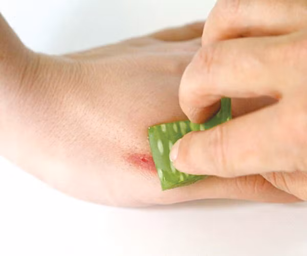 Thao duoc chong nang cho da cuc ki hieu qua