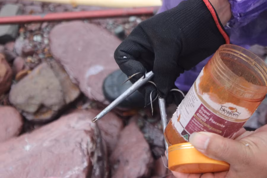 Dụng cụ bắt cá chỉ đơn giản cần và lưỡi câu.