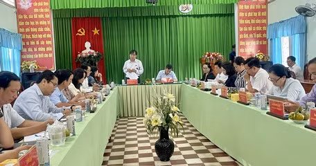 Quang cảnh buổi làm việc.