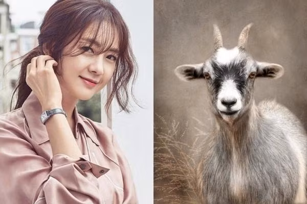 Con giáp lắm phúc nhiều lộc, may mắn hết phần thiên hạ năm 2023