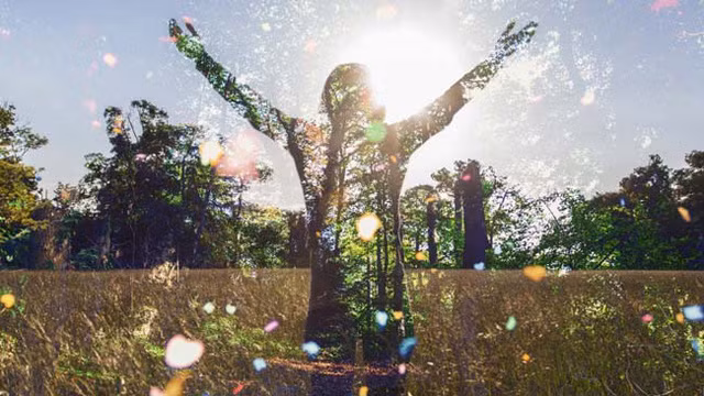 10 sự thật “điên rồ” về nụ hôn đối với sức khỏe ảnh 2