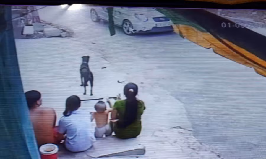 Bé gái 20 ngày tuổi mất tích bí ẩn trong phòng trọ