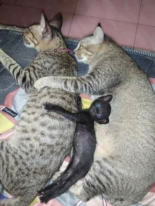 Mọi thứ không quan trọng, quan trọng mình thương nhau