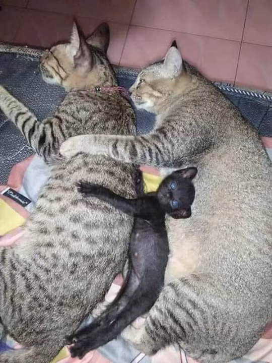 Mọi thứ không quan trọng, quan trọng mình thương nhau