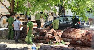 Tìm nguyên nhân 1 công an tử vong khi trông tang vật vụ Phượng “râu“