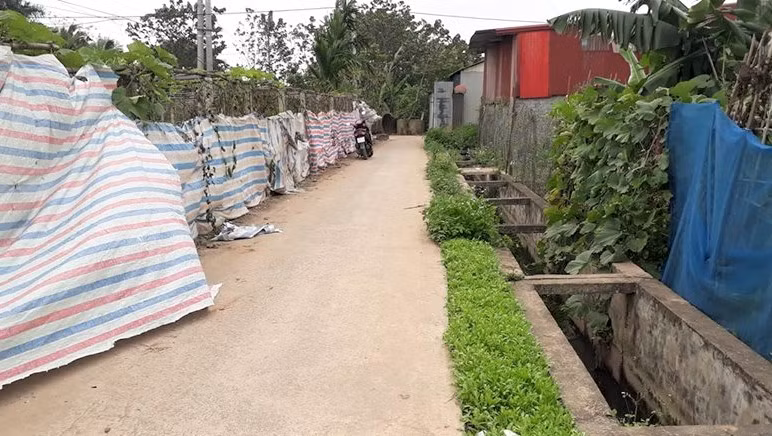 Người phụ nữ bị sát hại, nhân chứng uống nước thiệt mạng: Thông tin bất ngờ về hai nạn nhân ảnh 1 Nguoi phu nu bi sat hai, nhan chung uong nuoc thiet mang: Hai nan nhan co quan he than thiet hinh anh 1