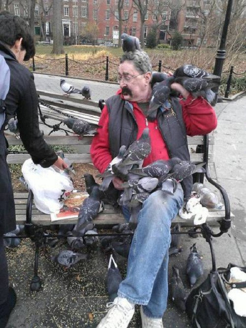 Đất lành chim đậu. Đất lành chim đậu.