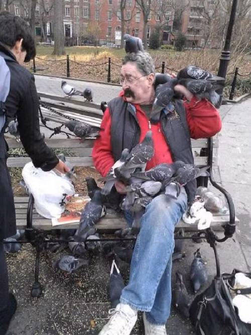 Đất lành chim đậu.