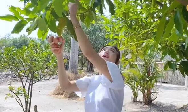 Cận cảnh nhà vườn rộng 20.000 m2 ở Đồng Nai của Minh Hằng