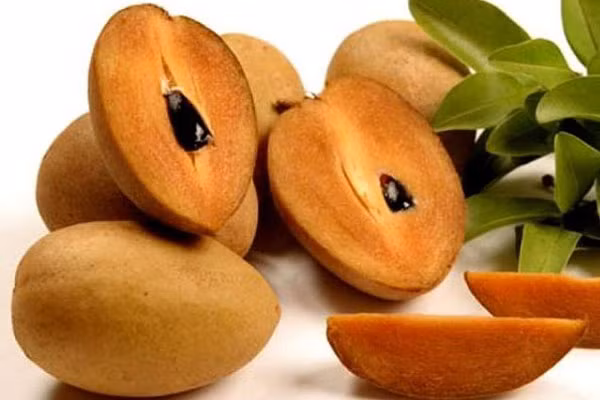 Cách chọn mua hồng xiêm, 10 quả cả 10 đều chín ngon ngọt