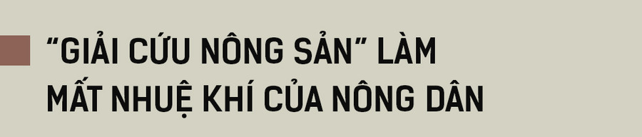 Tôi mong muốn nâng tầm nền nông nghiệp Việt Nam ảnh 6