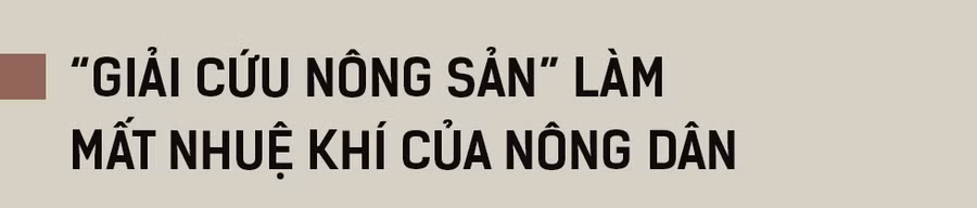 Tôi mong muốn nâng tầm nền nông nghiệp Việt Nam ảnh 6