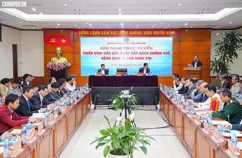 Vì thiếu tiền, thiếu cách làm hay vô ý thức để dịch tả lợn châu Phi lan ra? ảnh 1