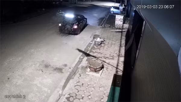 Cặp vợ chồng đi ô tô trộm đào lúc nửa đêm: 1 ngày sau, người vợ mang cây đến trồng lại vị trí cũ-2