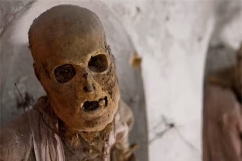 "Sởn gai ốc" bước vào hầm mộ chứa... 8.000 xác ướp ảnh 6