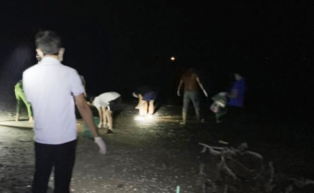 Đêm đã xuống, lực lượng chức năng cùng người dân vẫn đang thu gom cá chết ven bờ biển để tránh ô nhiễm môi trường . Đêm đã xuống, lực lượng chức năng cùng người dân vẫn đang thu gom cá chết ven bờ biển để tránh ô nhiễm môi trường .