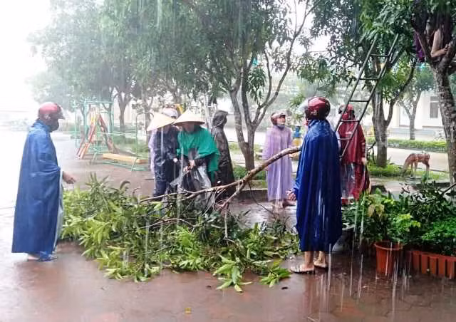 Giáo viên đội mưa chặt tỉa cành cây ở Trường MN Thượng Lộc (Can Lộc).