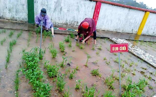 Vườn rau sạch do chính các cô trong trường tự trồng, chăm sóc. Vườn rau sạch do chính các cô trong trường tự trồng, chăm sóc.