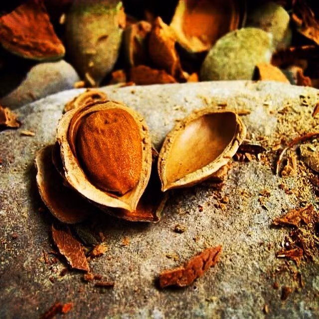 Không muốn mắc bệnh bạn đừng cố chấp ăn sống những thực phẩm này nữa