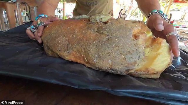 Nhặt được miếng xốp lạ về vứt góc vườn: Bất ngờ được trả giá gần 12 tỷ