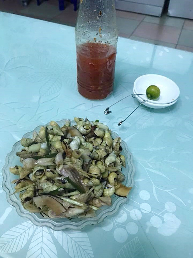 Được tặng món đặc sản nhưng quên không ăn, sáng ra cô gái trẻ rùng mình với cảnh tượng kinh hoàng trên bàn bếp - Ảnh 2. Được tặng món đặc sản nhưng quên không ăn, sáng ra cô gái trẻ rùng mình với cảnh tượng kinh hoàng trên bàn bếp - Ảnh 2.