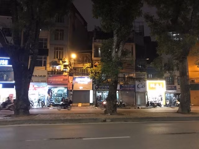 Hà Nội: Những vết khoét lạ trên thân hàng xà cừ cổ thụ - 11