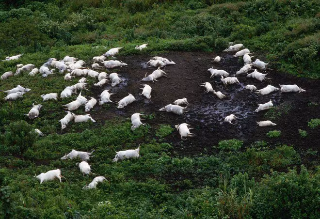 Hồ nước này đã lấy mạng 1.700 người chỉ sau một đêm mà đến nay vẫn không ai giải thích nổi - Ảnh 2.