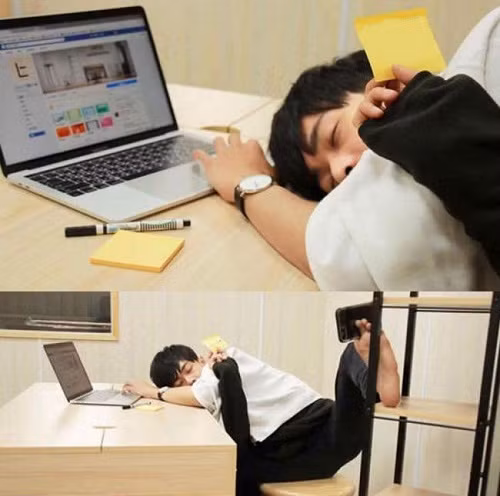 Cách thanh niên FA khoe gấu.