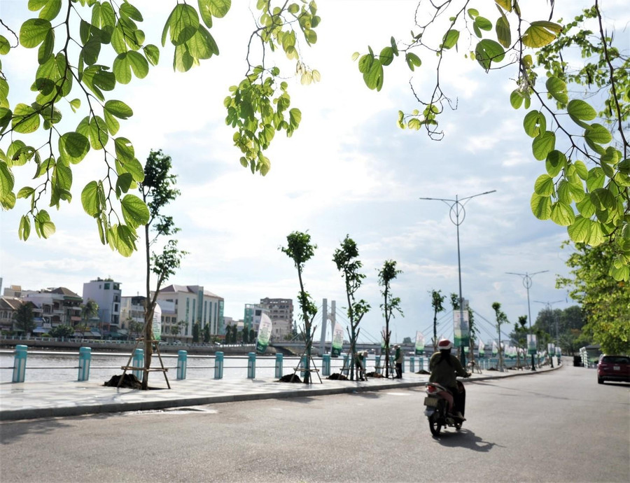 Tuyến đường Phạm Văn Đồng (bên sông Cà Ty) do NovaGroup và địa phương thực hiện trồng cây trong lễ phát động. Tuyến đường Phạm Văn Đồng (bên sông Cà Ty) do NovaGroup và địa phương thực hiện trồng cây trong lễ phát động.