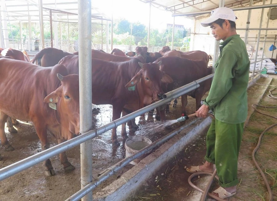 Quan tâm chăm lo đời sống đồng bào các dân tộc thiểu số.