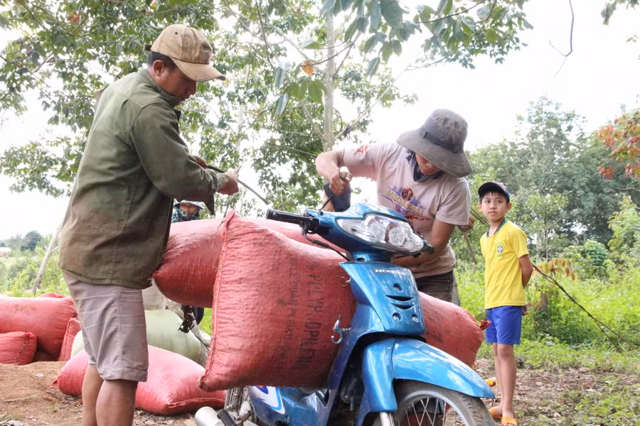 Nông sản được người dân chở bằng xe máy để đưa về nhà, vì không có đường để xe tải đi.