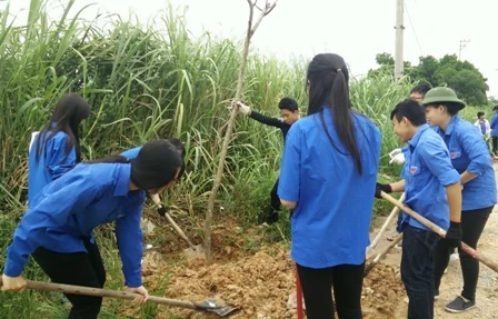 Một buổi ngoại khoá của học sinh