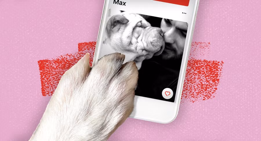 REGEW45O2VCQJCBYVB5K5OMHMI