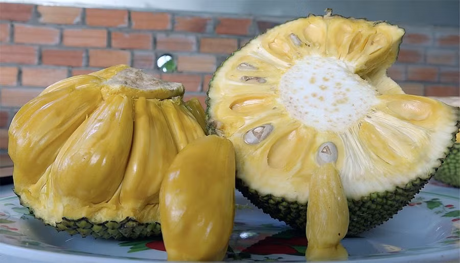 ky tich mien tay: giong mit sieu to khong lo, 1 mui nang hon 2 lang hinh anh 4