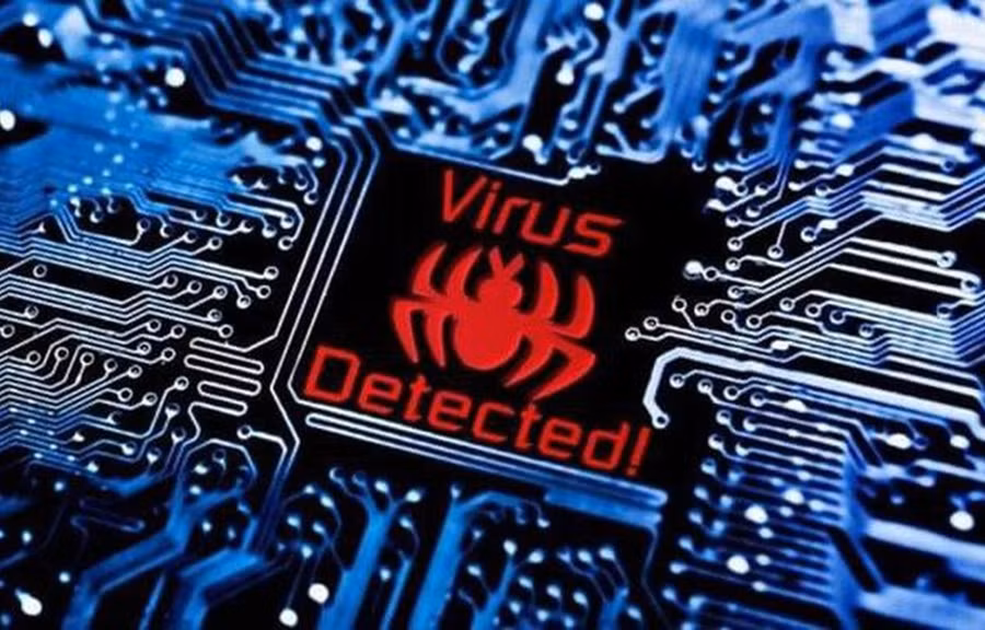 Ảnh minh họa. (Nguồn: Internet).