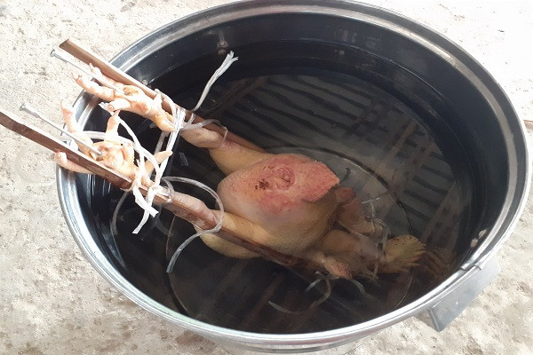 Để luộc thế gà đứng phải sử dụng nồi lớn. Độc đáo