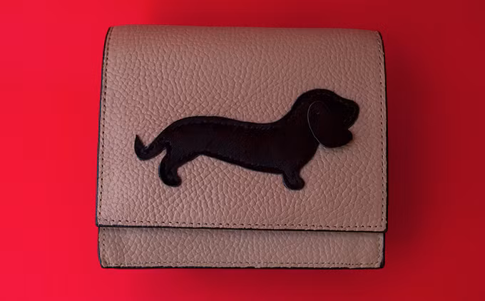 Hình ảnh dí dỏm của chú chó lạp xưởng lại được rất nhiều thương hiệu làm đổ thủ công bằng da ở các nước châu Á yêu thích. Mỗi thương hiệu lại có cách thể hiện riêng để mang tới hình ảnh sống động và mới mẻ cho loài vật cưng.