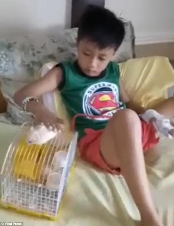 Dùng điện thoại 9 tiếng/ngày, cậu bé lên cơn co giật nhiều ngày đến cả bác sĩ cũng bó tay ảnh 2 Dùng điện thoại 9 tiếng/ngày, cậu bé lên cơn co giật nhiều ngày đến cả bác sĩ cũng bó tay ảnh 2