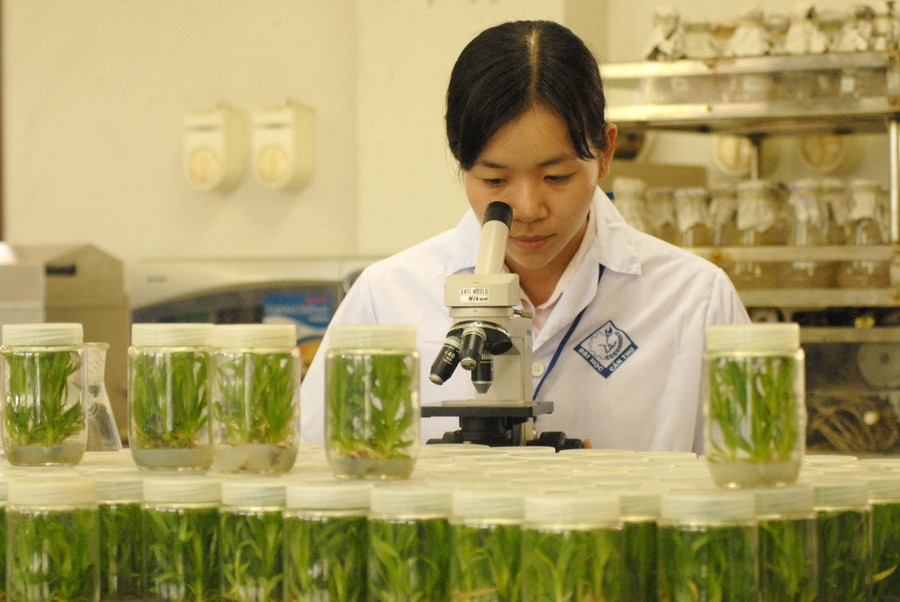 SSV Trường ĐH Cần Thơ nghiên cứu khoa học.