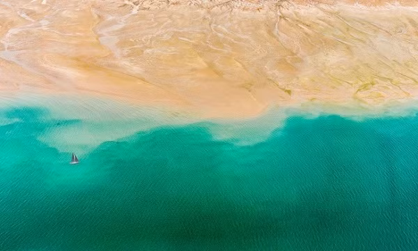 Những hình ảnh tưởng 2 nhưng lại là 1 cực hiếm thấy - Ảnh 18.